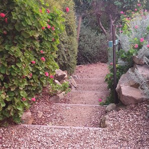 Property grounds - ASTLEY COTTAGE SPA & KING BED WITH FREE WIFI & Netflix (Daylesford)