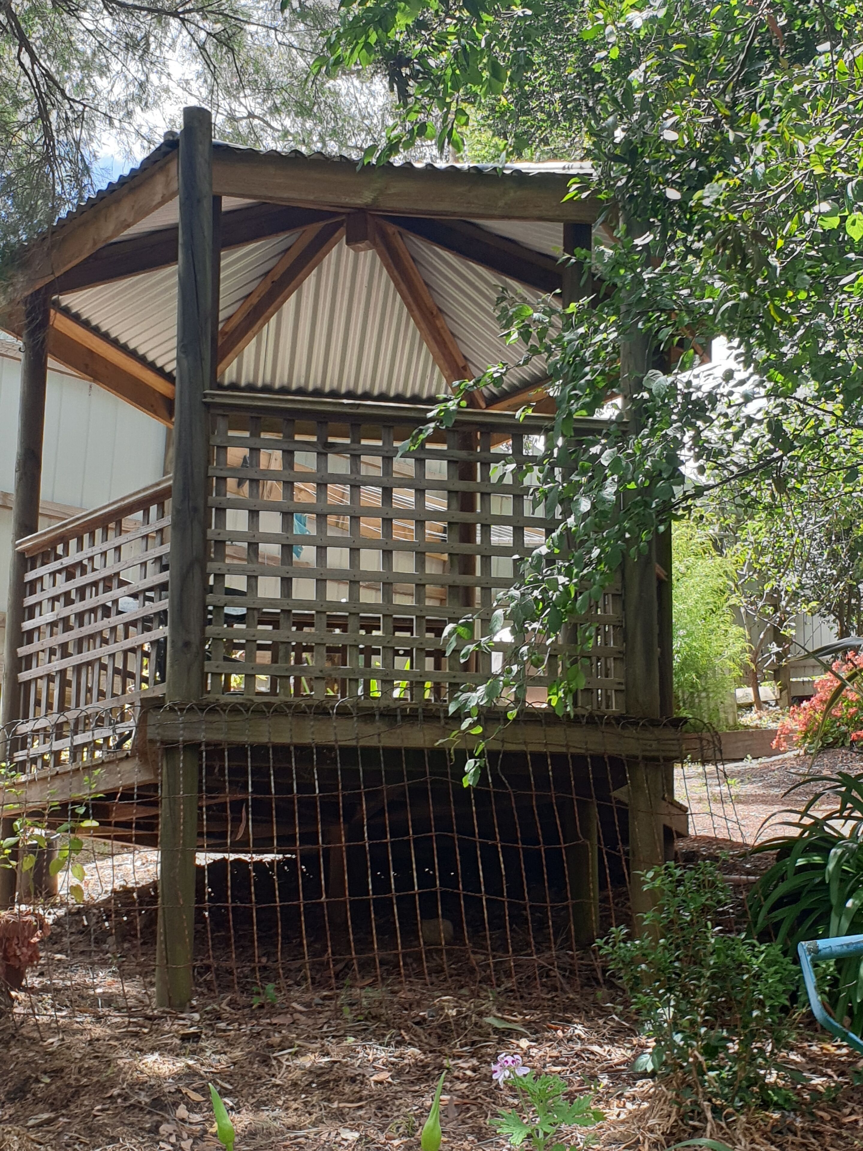 Una estructura de madera con techo de metal, rodeada de árboles y plantas.