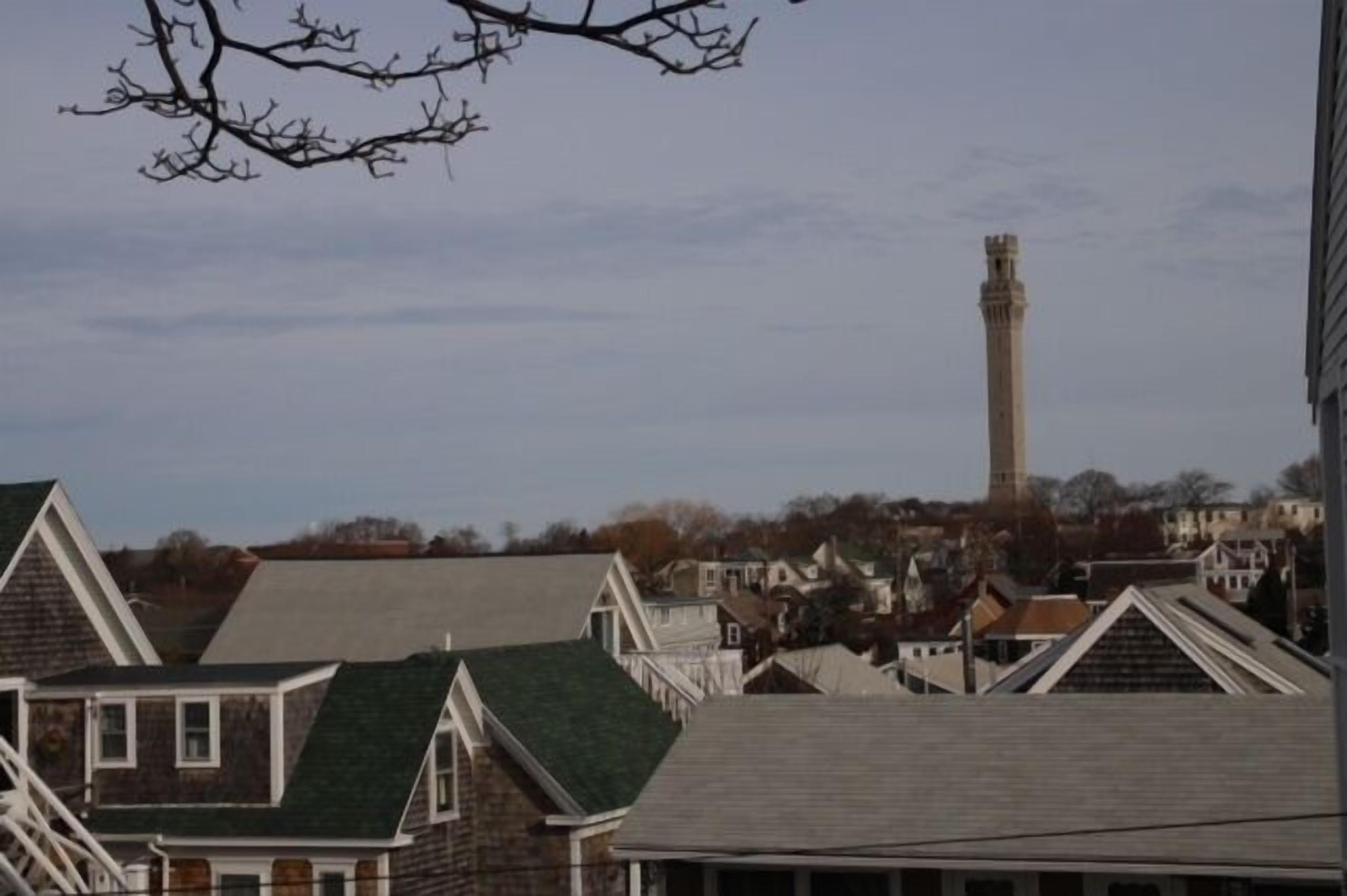A residential area with houses and a prominent tower in the background.