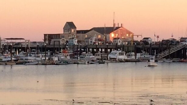 A waterfront property with a large building, docked boats, and a calm water body.
