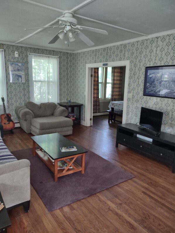 Smart TV, chimenea, reproductor de DVD y libros 