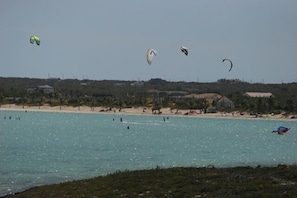 Una spiaggia con diversi aquiloni che volano nel cielo.