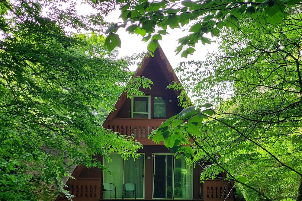 Peaceful Days~Cozy Cabin~Sounds of Silence~Star Gazing at Night~Relax~Unplug