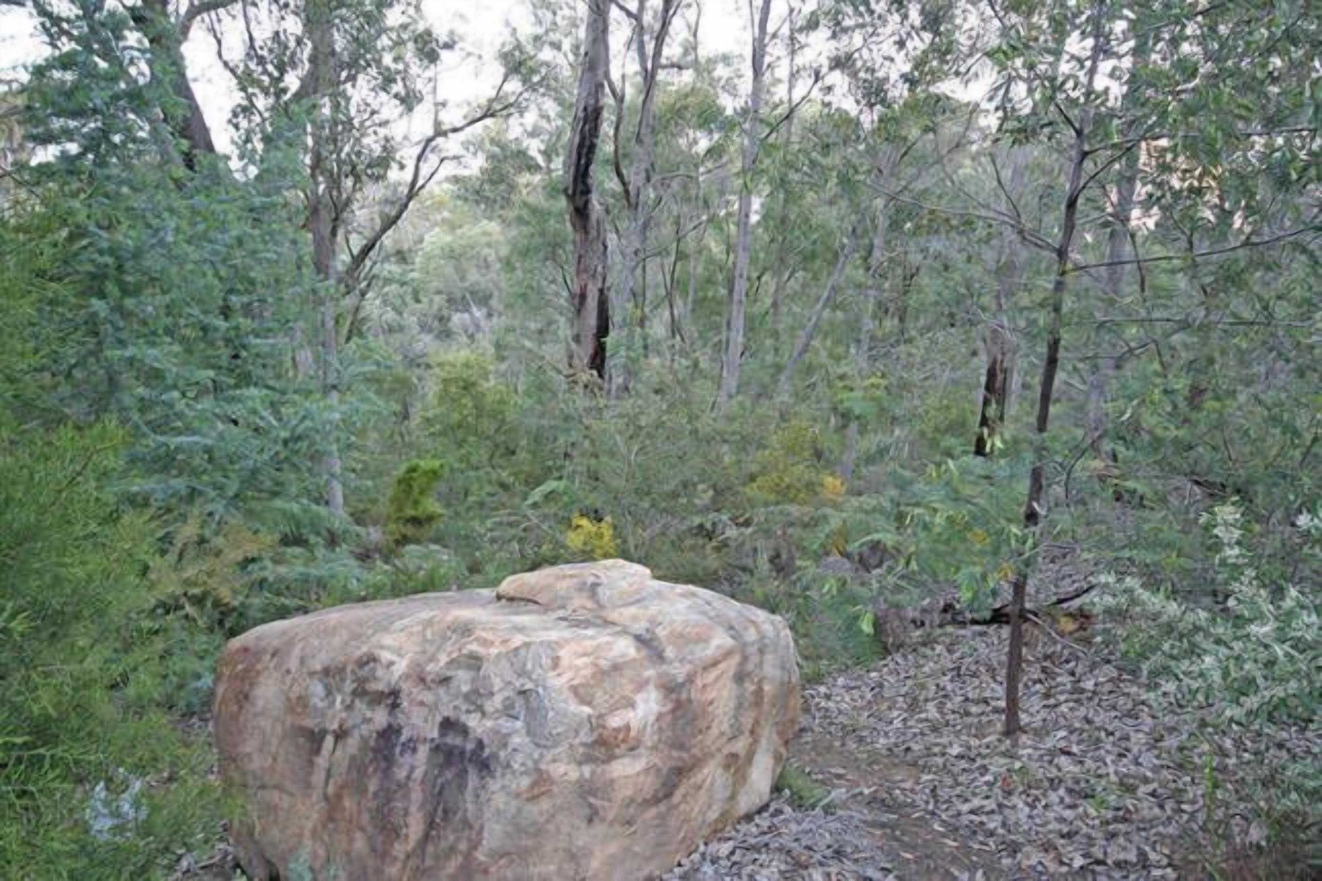 Tree Change Yallingup Hayes Road — image 10