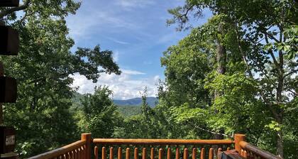 Bears Abound-- a Dog-friendly, Log Cabin With Breathtaking Views