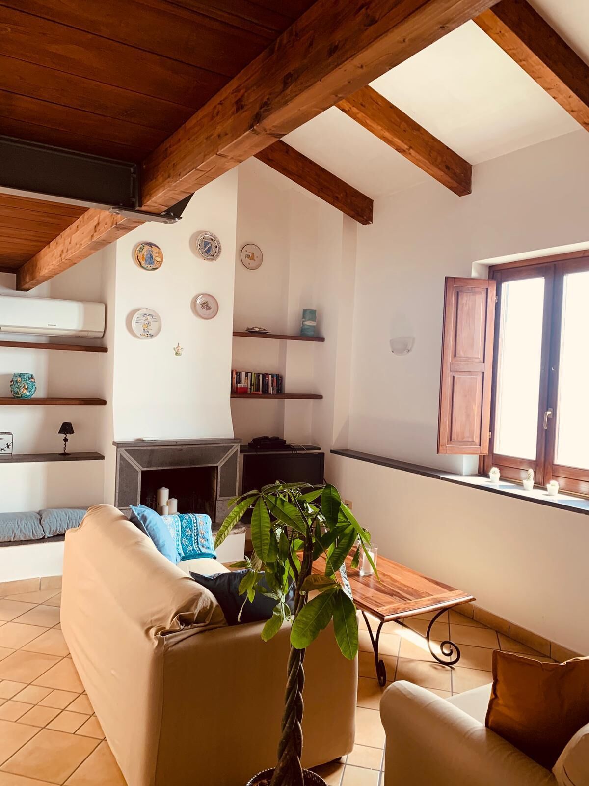 Smart TV, fireplace, books