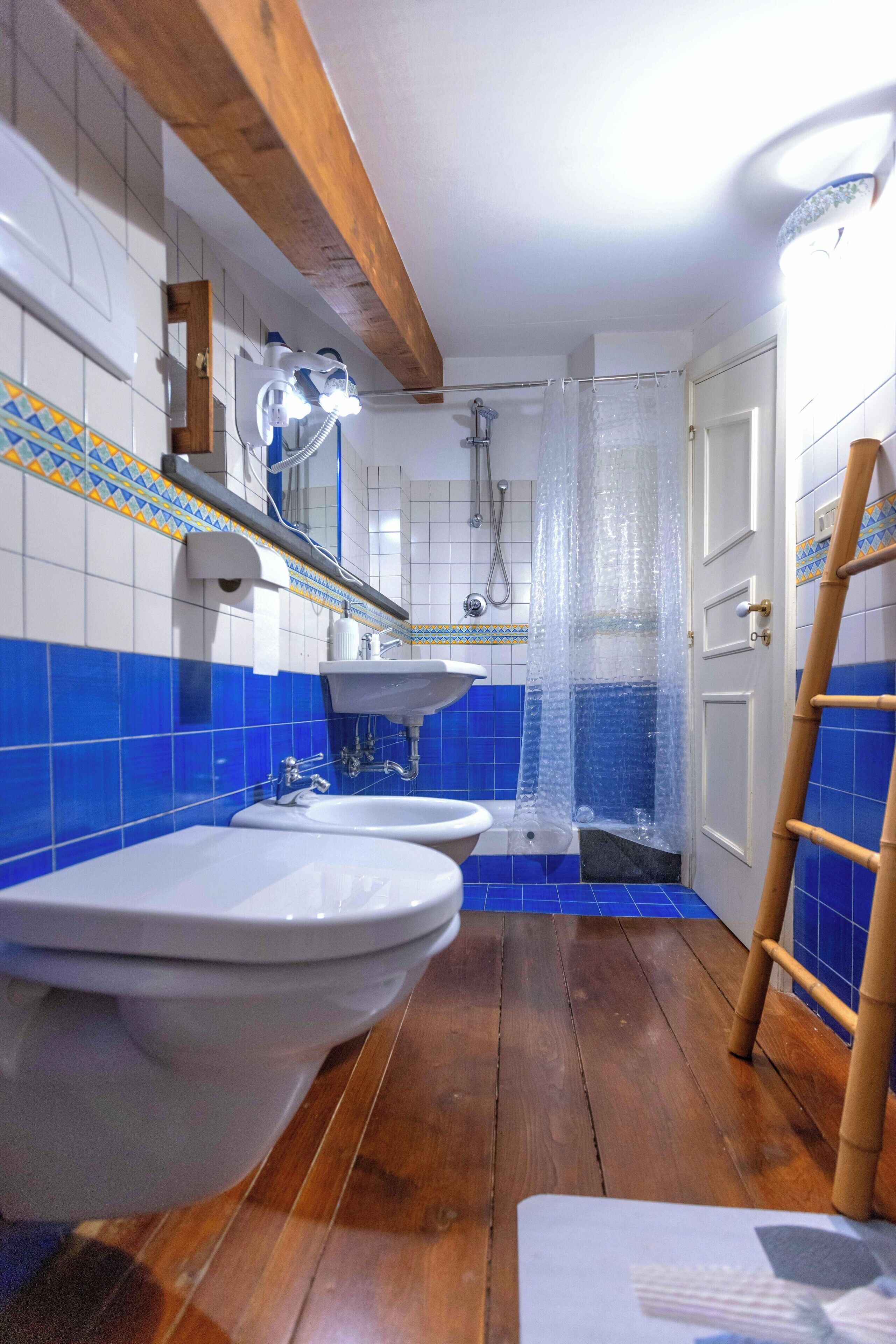 Shower, hair dryer, bidet, towels