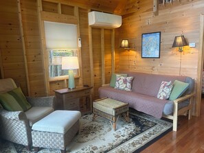 TV, fireplace, books