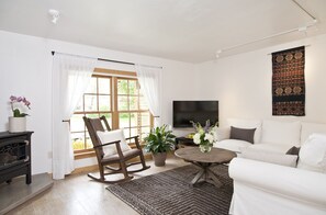 Smart TV, fireplace, books, stereo