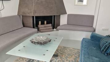 Smart TV, fireplace, books