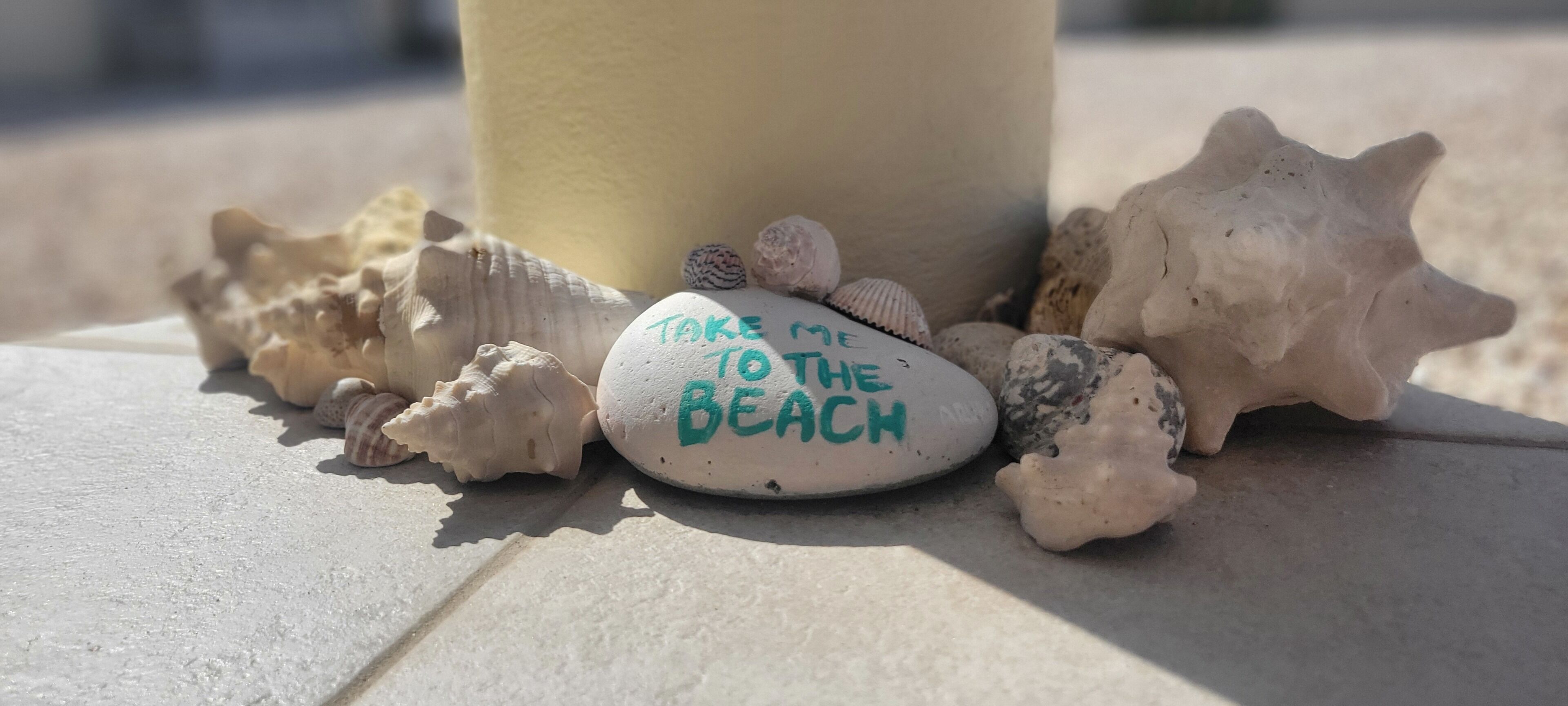 A stone with the inscription "TAKE ME TO THE BEACH" surrounded by various seashells.