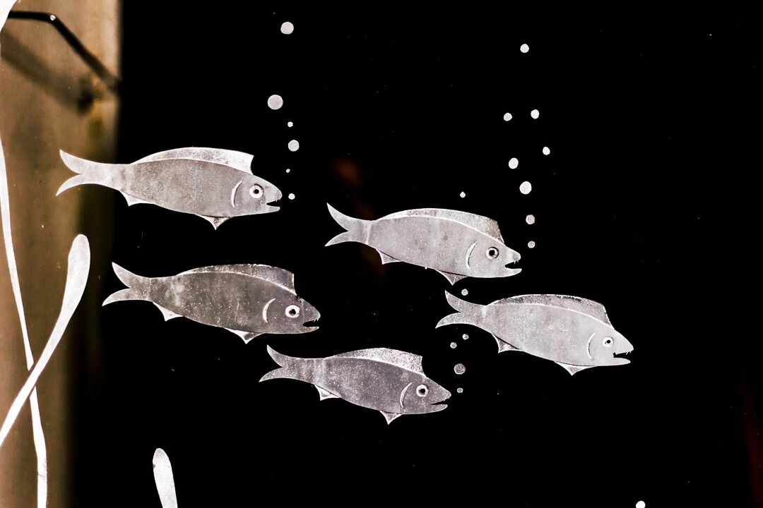 Siluetas de peces sobre un fondo oscuro.