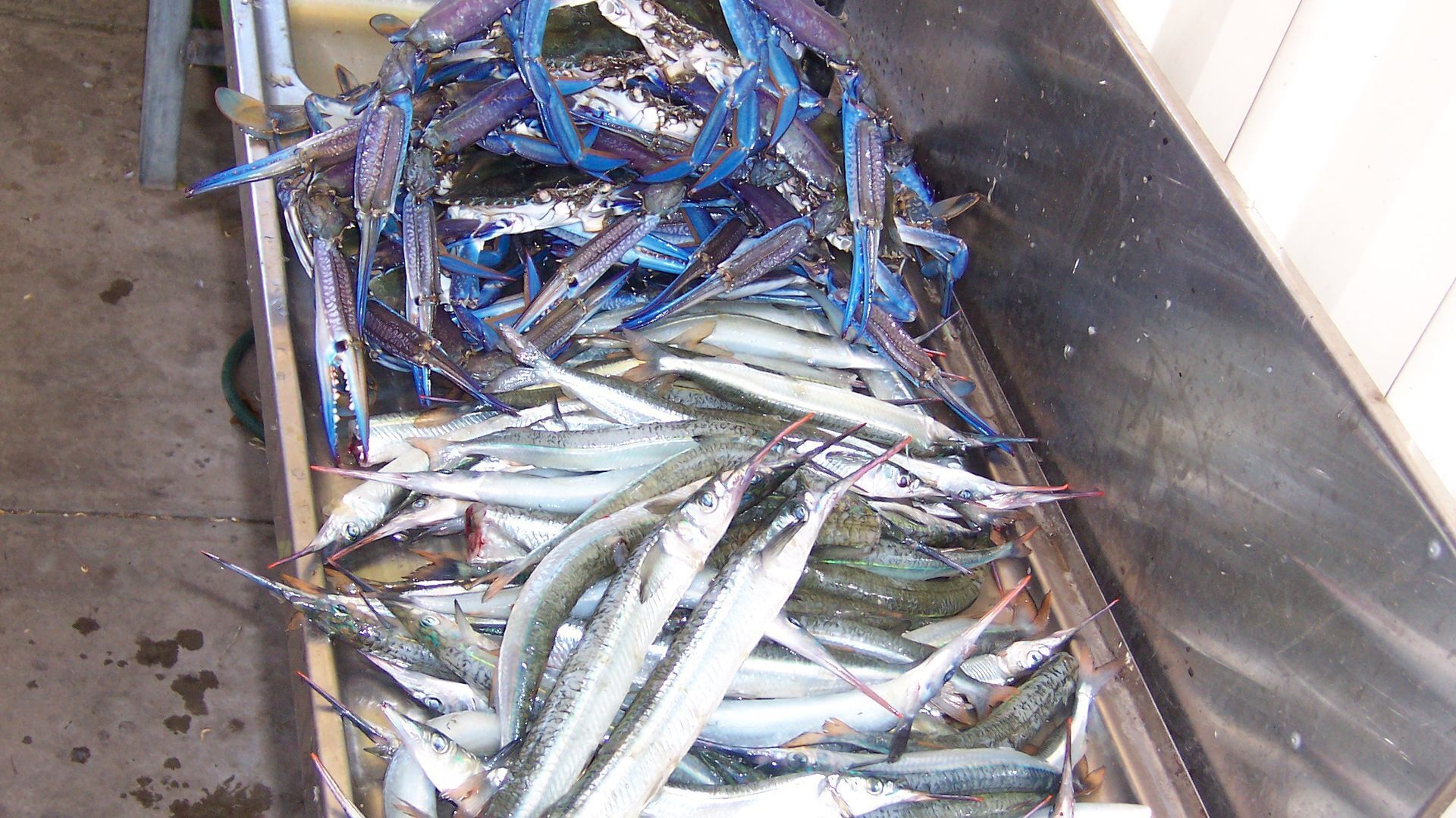 Stansbury Villas Unit 1 Relax and Explore — image 2