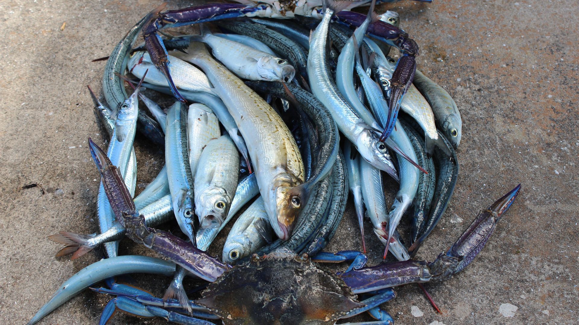 Stansbury Villas Unit 1 Relax and Explore — image 4