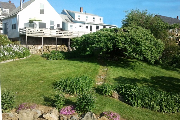 Backyard (view from shoreline) is abundant with perennials and canopy apple tree