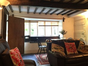 Smart TV, fireplace, DVD player, video library