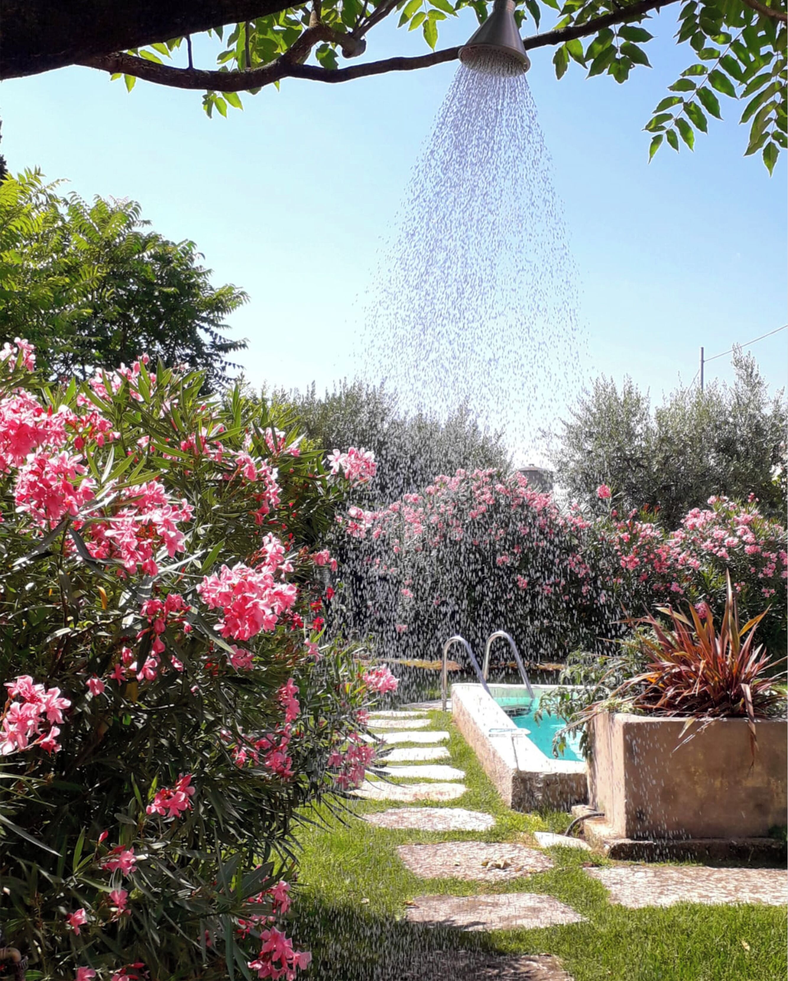 Un jardín con una fuente de agua, piscina y un sendero de piedra.
