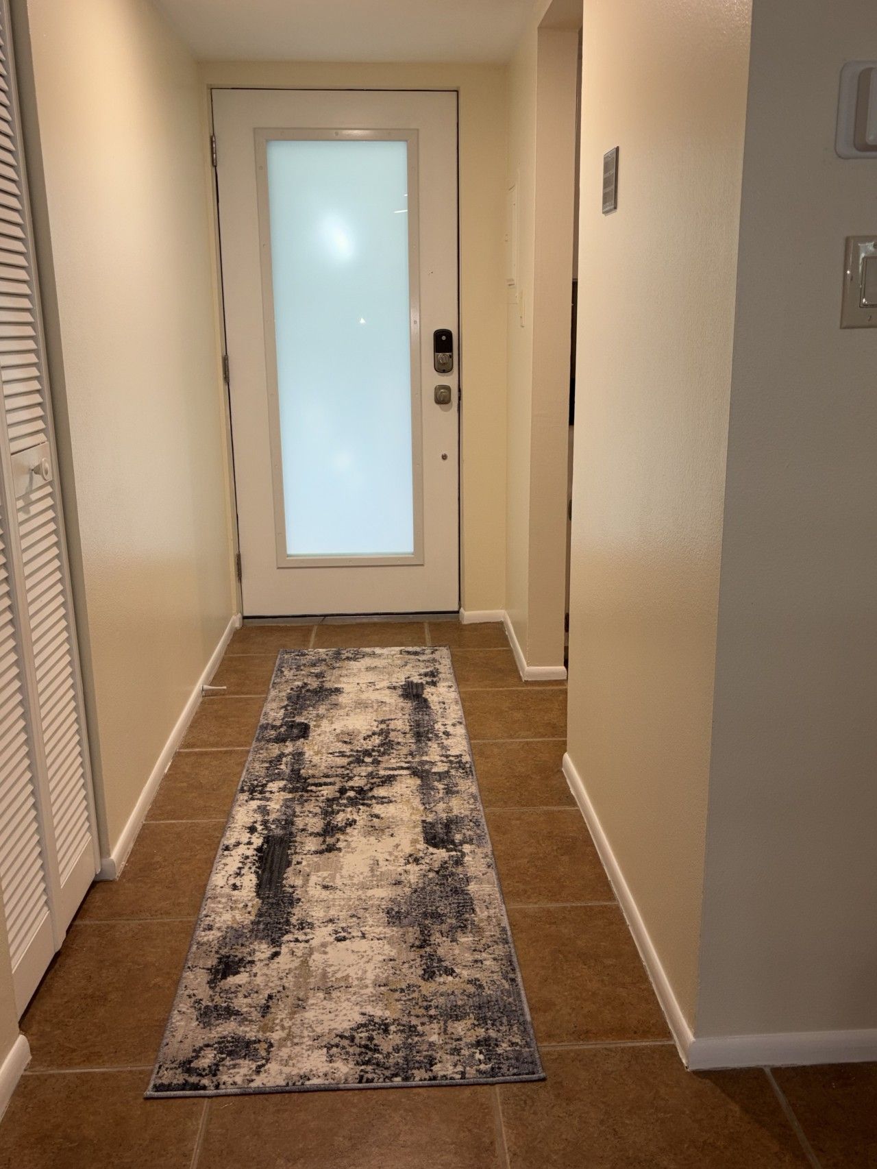 A hallway with a patterned rug, a frosted glass door, and a light switch on the wall.