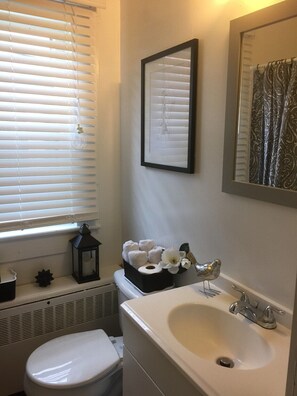 Tina con regadera, secadora de cabello, toallas, papel de baño 