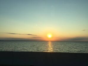 Camastros y toallas de playa 