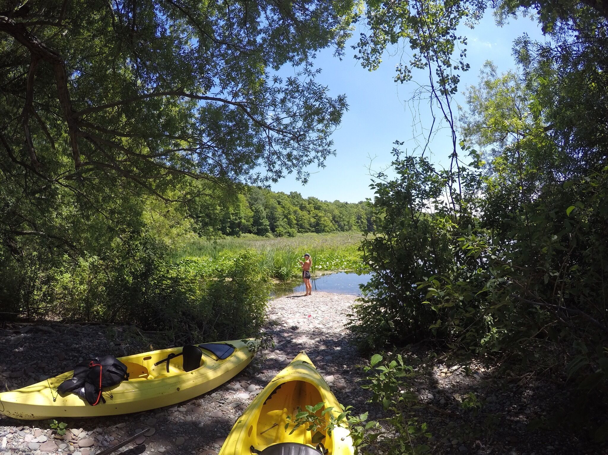 A kayak and a canoe on a gravel path leading to a body of water, surrounded by dense greenery.