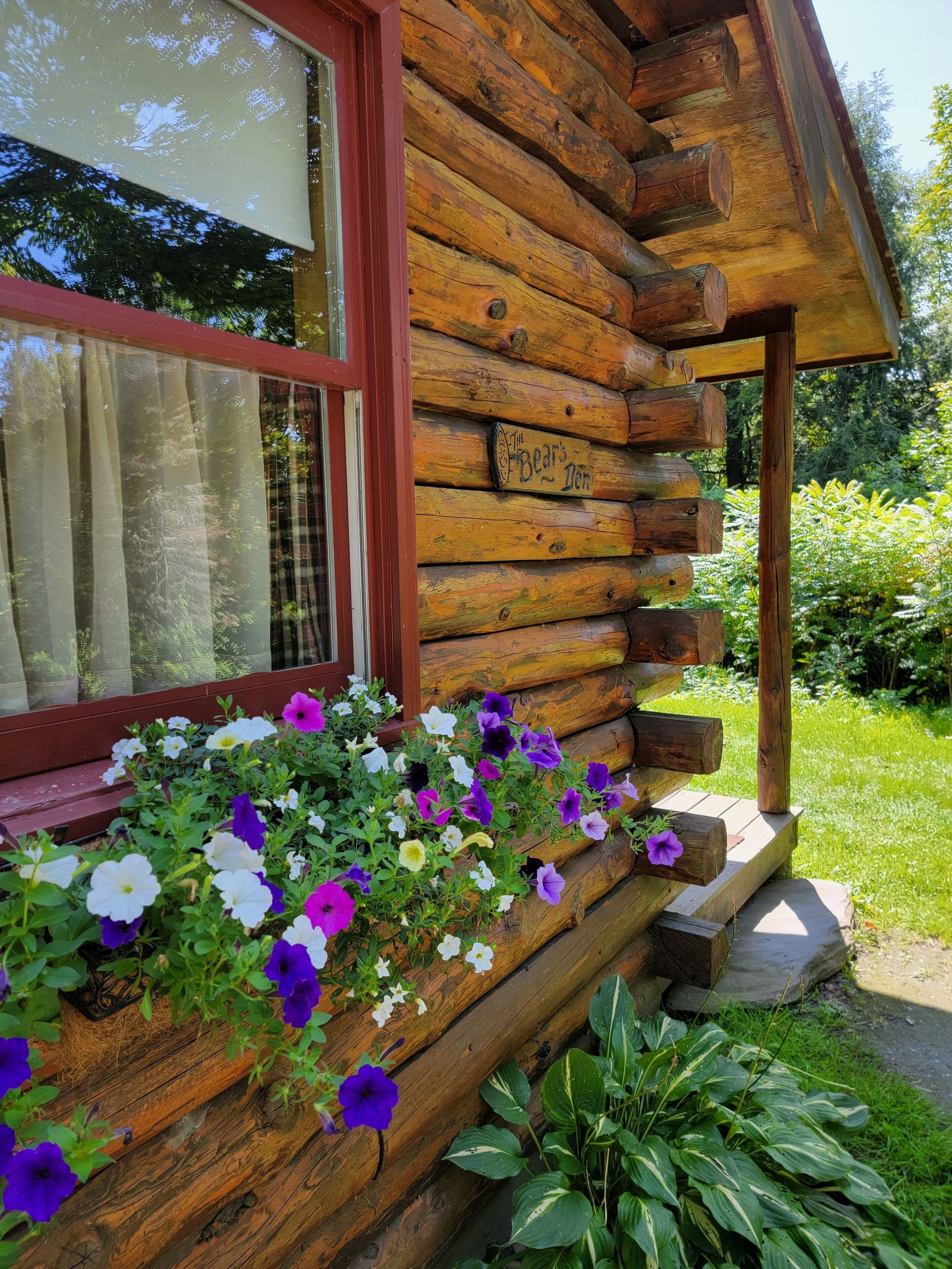 Window Boxes at Cabin