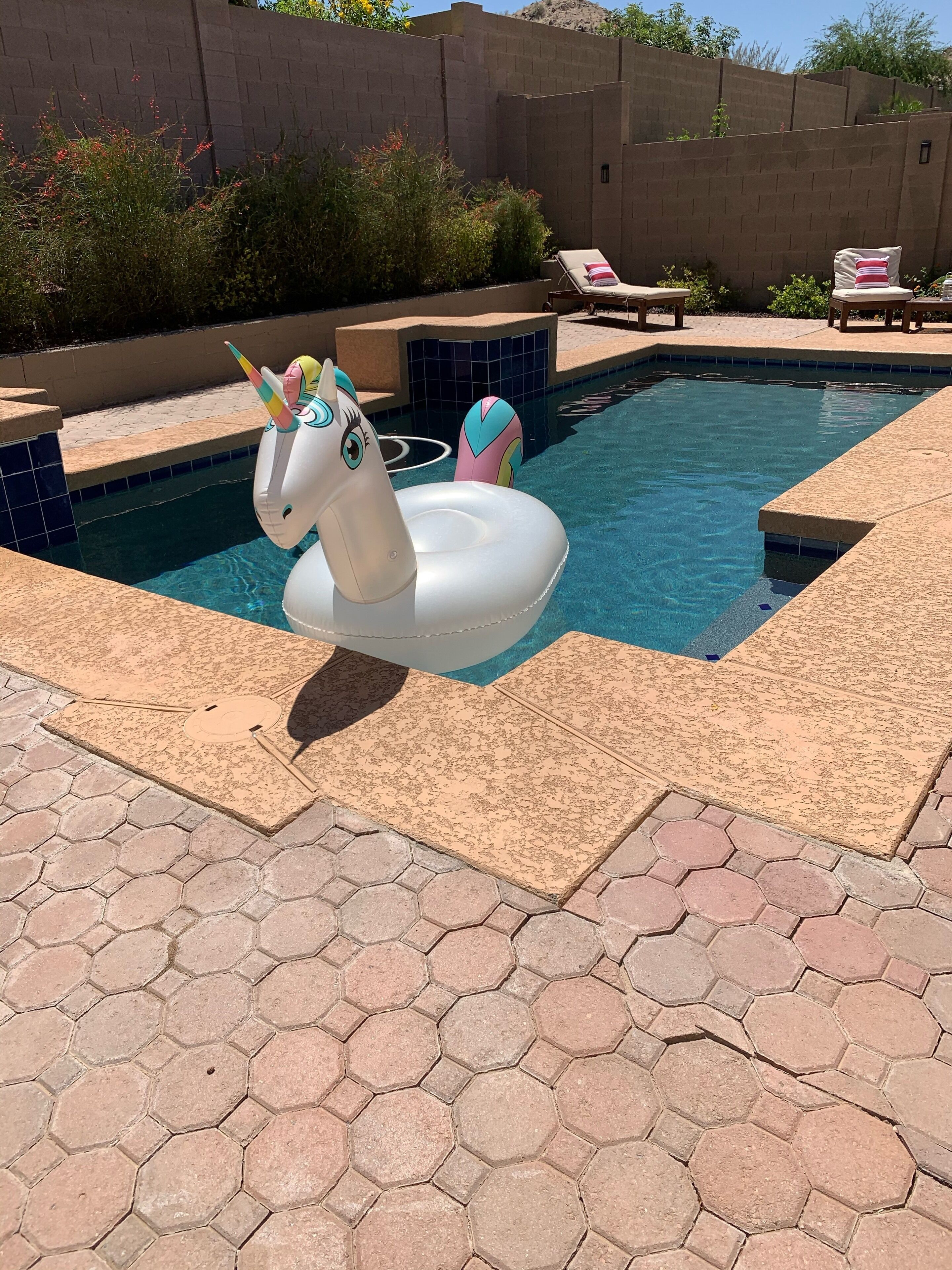 Piscine extérieure, chaises longues