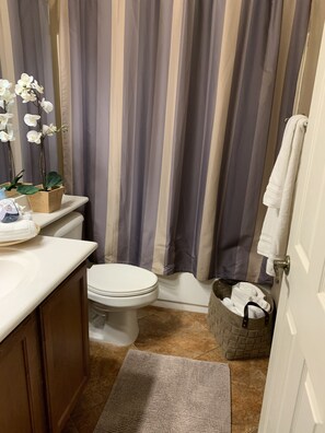 Combined shower/bathtub, hair dryer, towels, soap - Goodyear Private Outdoor Pool Baseball Golf WIFI Parks Hike Nascar (Goodyear)