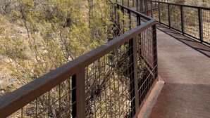 A desert landscape with a prominent cactus and a wooden boardwalk with metal railings. - Goodyear Private Outdoor Pool Baseball Golf WIFI Parks Hike Nascar (Goodyear)
