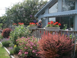 Early Summer and my aunt from Switzerland