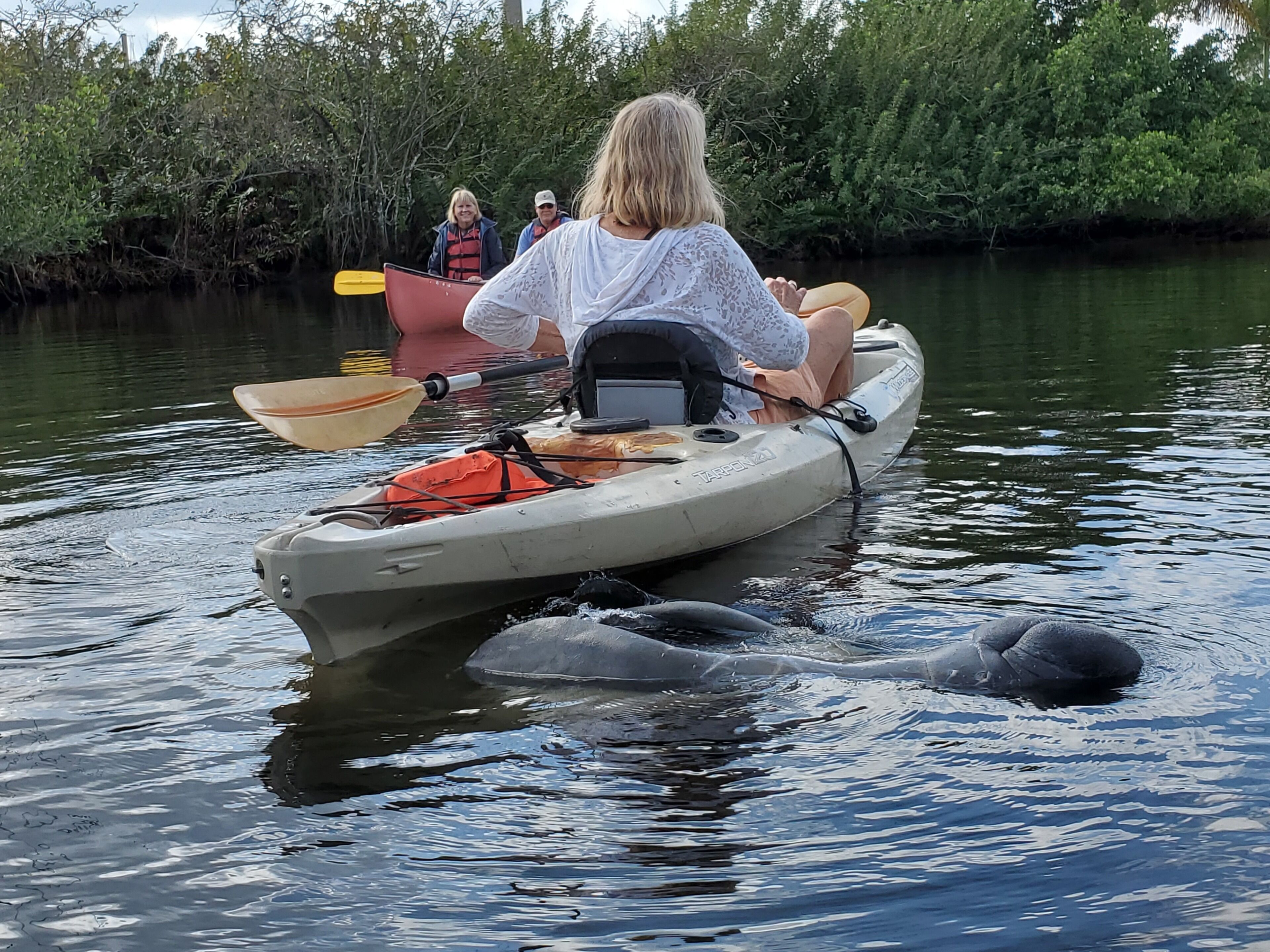 Cozy river retreat directly on the Orange river w/pool and Kayaks!