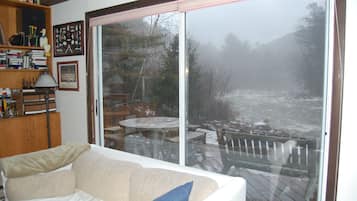 Smart TV, chimenea, reproductor de DVD y libros