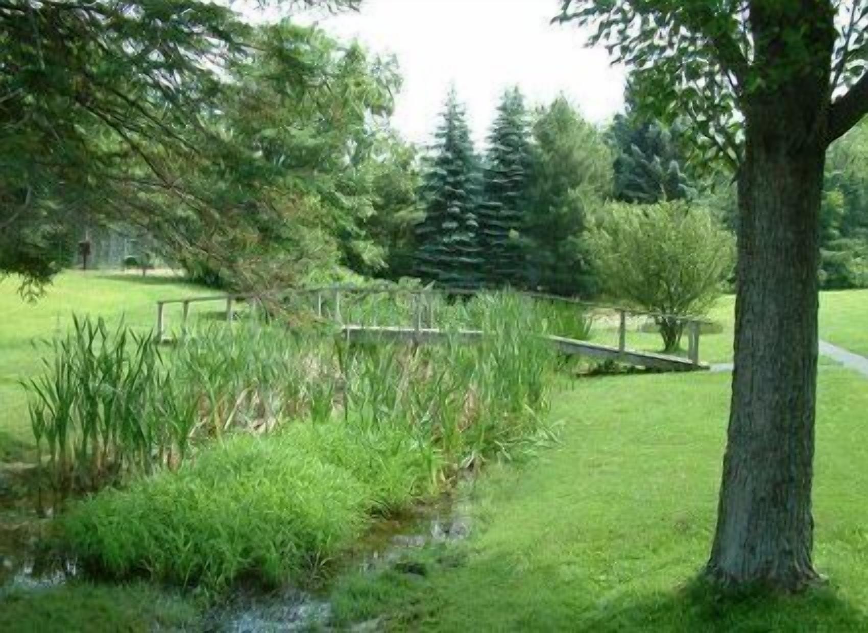 Terrain de l’hébergement 