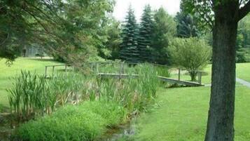 Terrain de l’hébergement