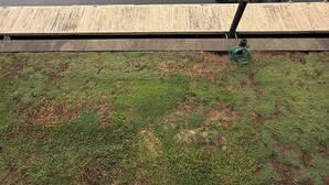 A wooden deck with a pond in the background.