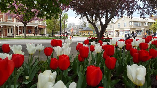 Luxury 1835 Mökki Niagara on the Lake. Askeleita keskustasta ja Shaw-teatterista.