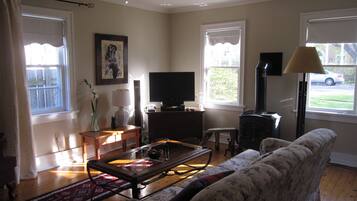 TV, fireplace, DVD player, books