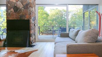 Smart TV, fireplace, DVD player, video library