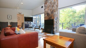 Smart TV, fireplace, DVD player, video library