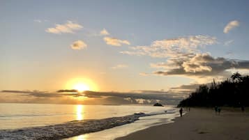 Plage à proximité, chaises longues, serviettes de plage