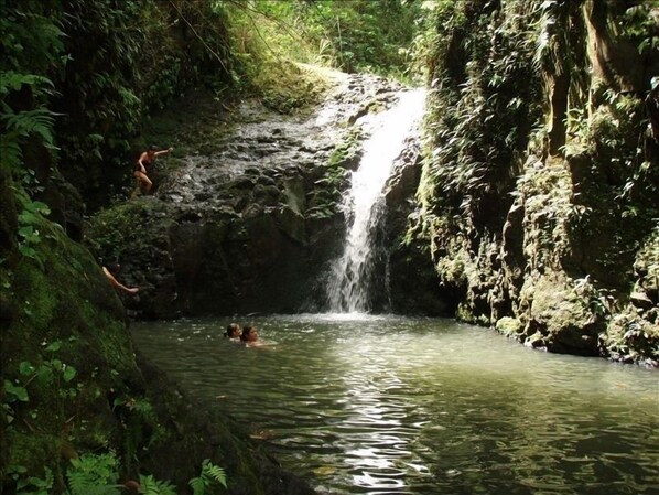 Una cascata in una zona boschiva con una pozza d'acqua alla base.