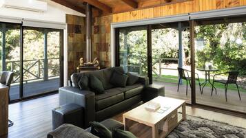 TV, fireplace, DVD player, books