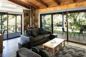 TV, fireplace, DVD player, books