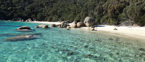 Una playa cerca