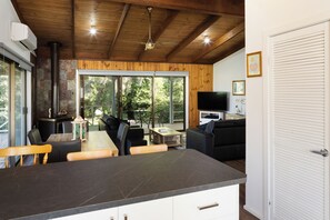 TV, fireplace, DVD player, books