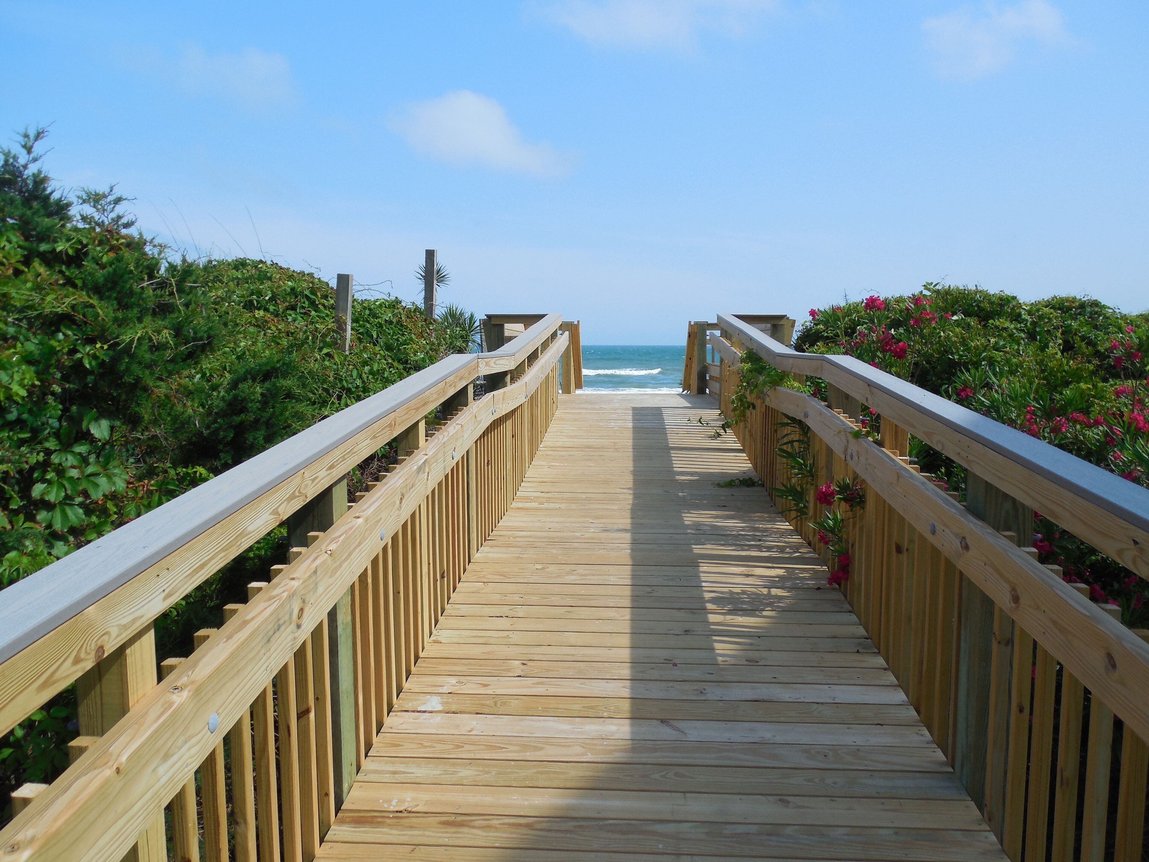 A wooden boardwalk leading to the ocean, surrounded by greenery and flowers.