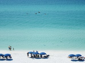 Plage, chaises longues
