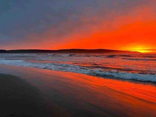 Ocean Front / Hot Tub / Hot Rock sauna / Lemmikit / 2 ngt min / pyörätuolilla.