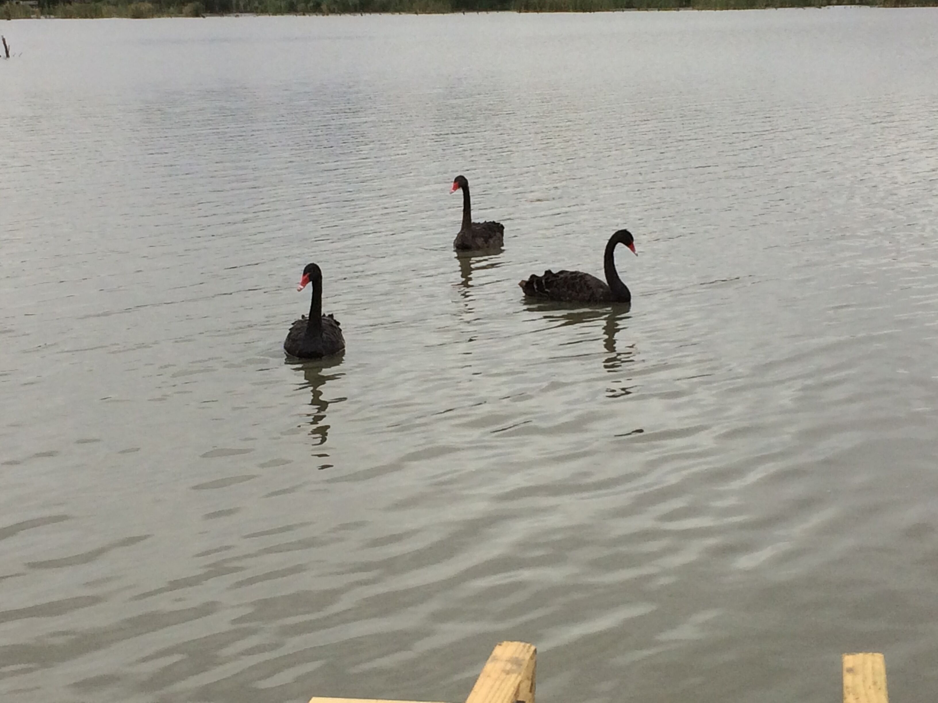 Sangria - holiday home — image 4