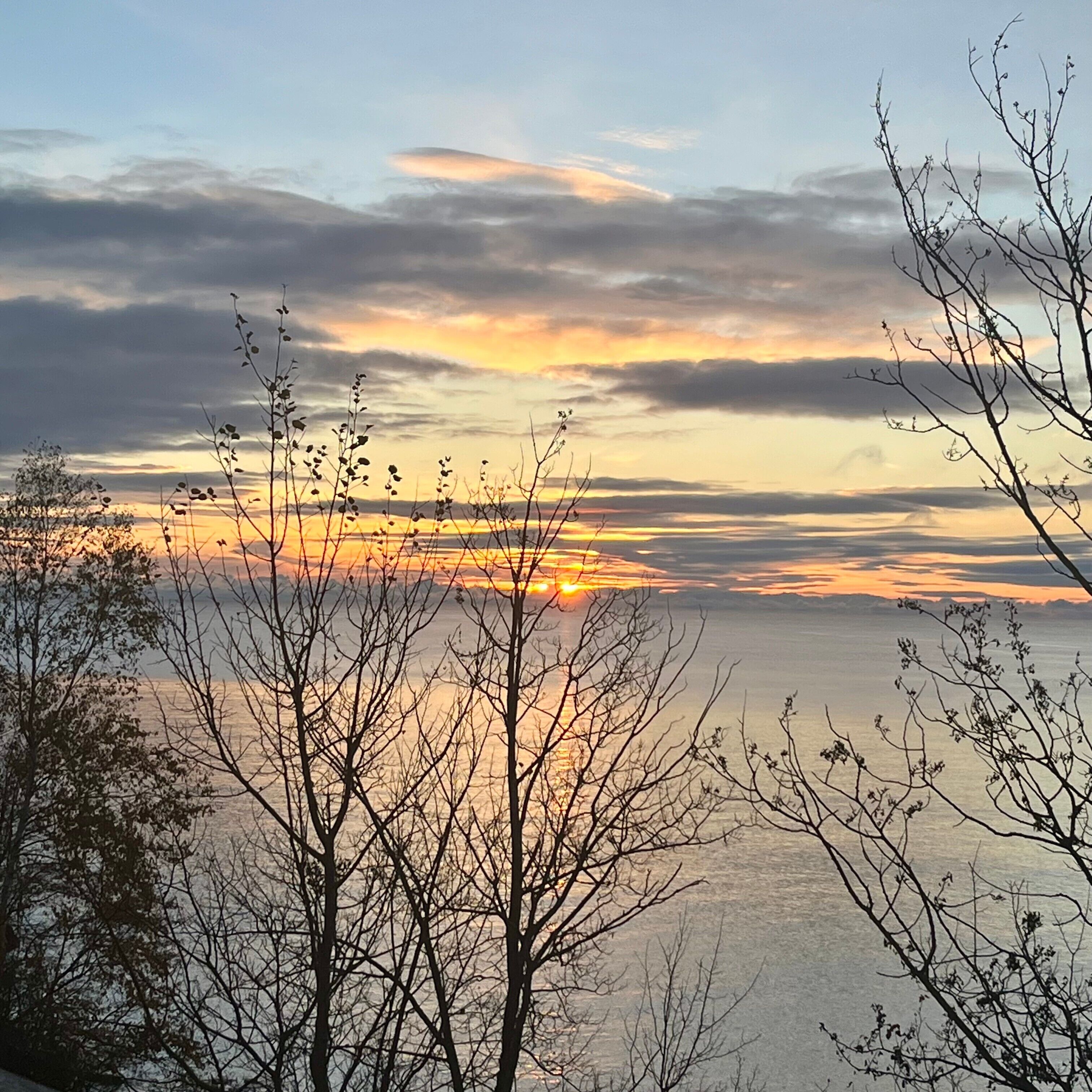 A sunset over a body of water with trees in the foreground.